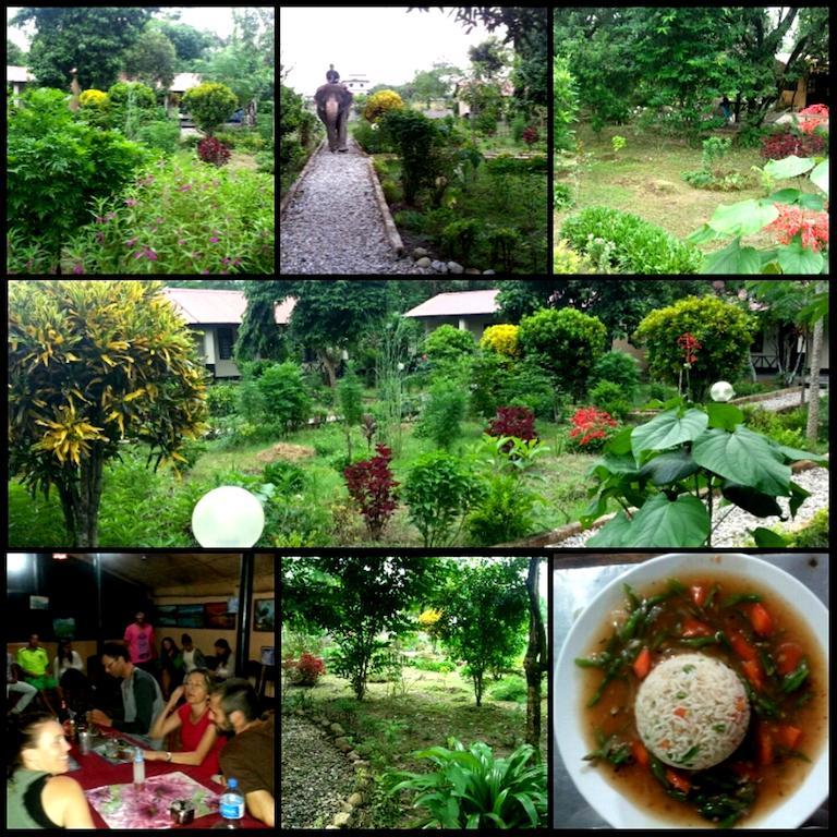 Chitwan Safari Camp & Lodge Саураха Экстерьер фото