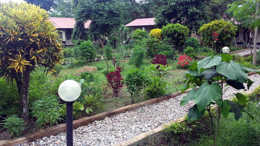 Chitwan Safari Camp & Lodge Саураха Экстерьер фото