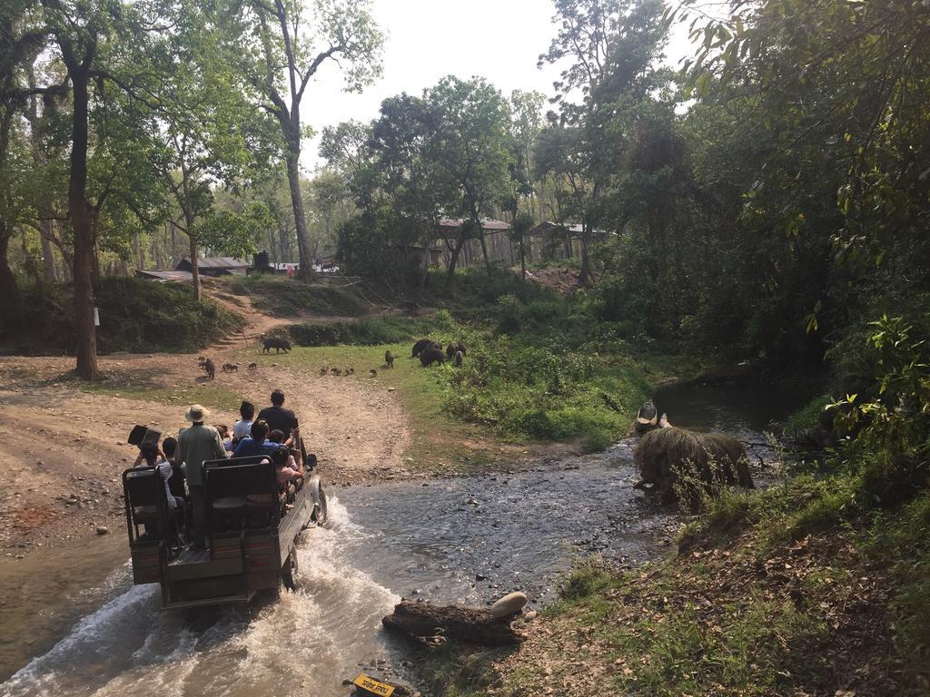 Chitwan Safari Camp & Lodge Саураха Экстерьер фото