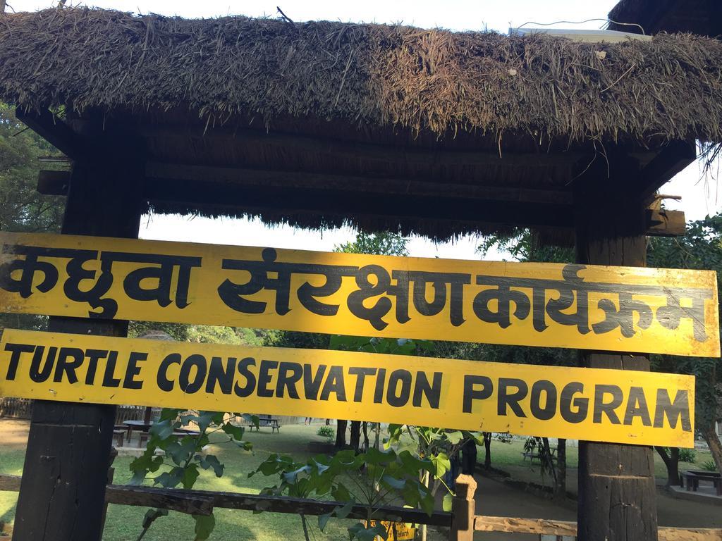 Chitwan Safari Camp & Lodge Саураха Экстерьер фото