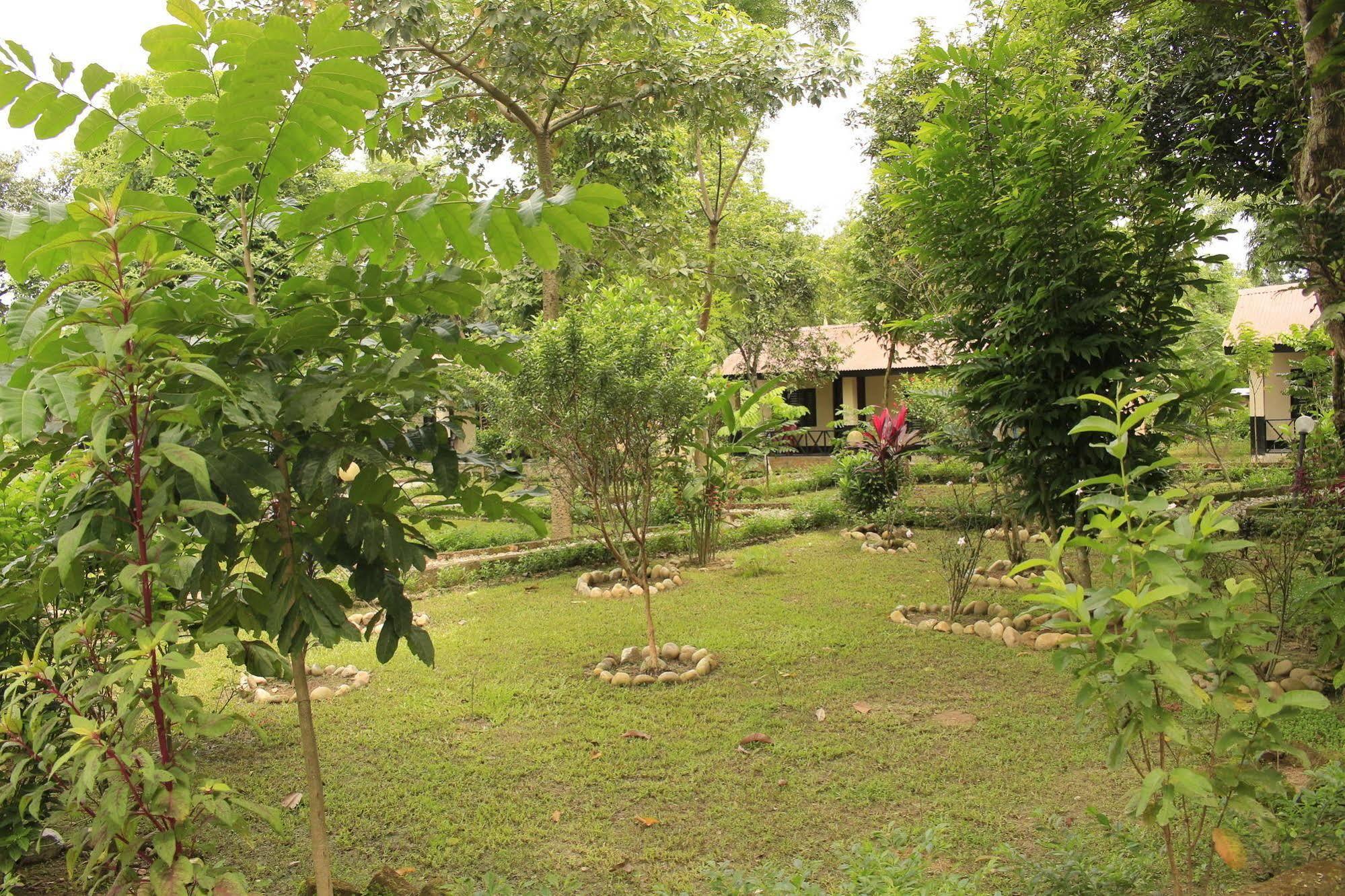 Chitwan Safari Camp & Lodge Саураха Экстерьер фото
